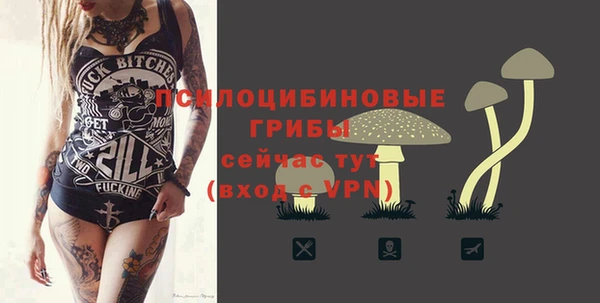 прущая мука Бикин