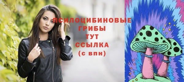 прущая мука Бикин