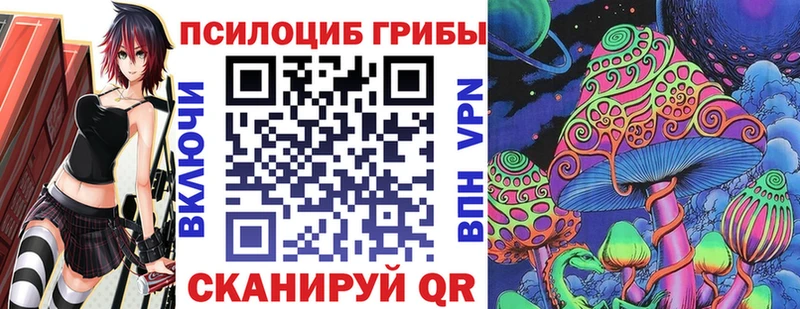 купить  сайты  Кольчугино  Галлюциногенные грибы Psilocybine cubensis 