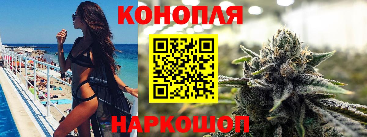 Бошки марихуана индика  Канабис план  Марихуана конопля  Кольчугино 